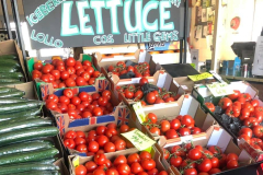 lestersfarmshop